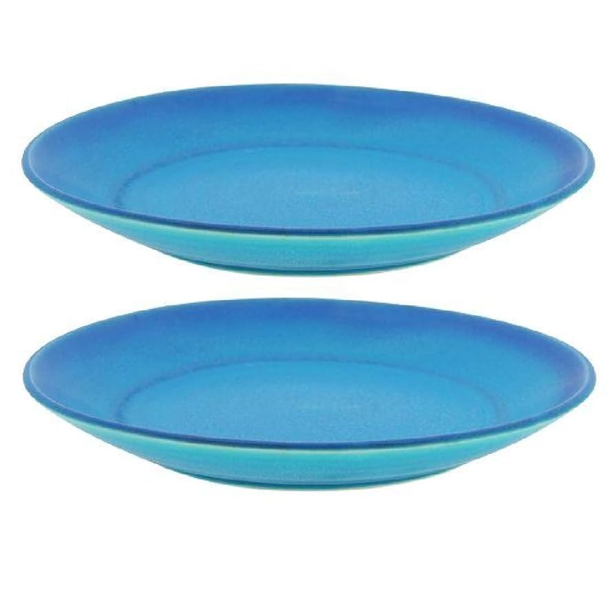 高級食器セット　ターコイズブルー深青緑　ガラス陶磁器　7皿と徳利 Amazon.co.jp: 美濃焼 ターコイズブルー 7寸プレート (2枚組